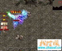 传奇四种职业特征