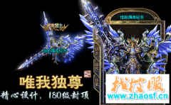 ����սʿ������