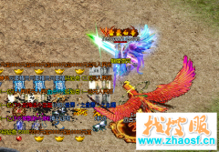 ��ʿ��λ����˵��